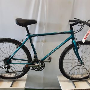 Raleigh M-Trax 300