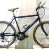 Image of the Refurbished Raleigh Max Ogre EZ Mountain Bike for sale