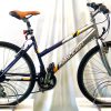 Image of the Refurbished Raleigh Vixen Child's Hybrid Bike for sale