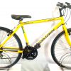 Image of the Coventry Eagle Domain Retro Mountain Bike for sale