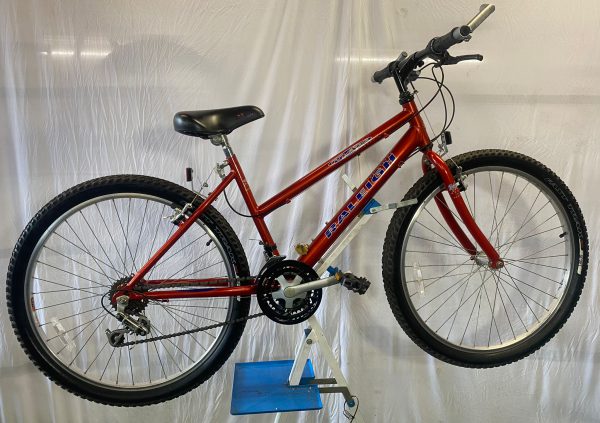 Image of the Refurbished Raleigh max for sale