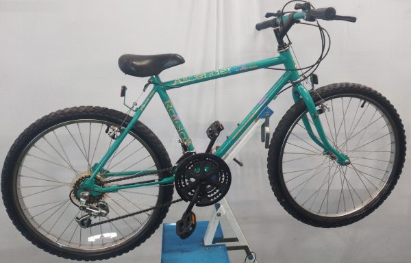 Image of the refurbished raleigh ascender for sale